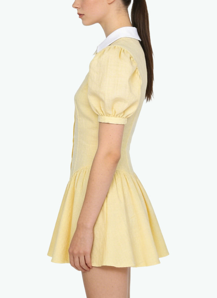 Peter Pan Collar A-Line Skirt Preppy Style Dress