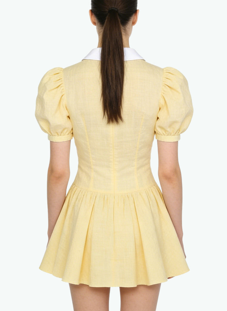 Peter Pan Collar A-Line Skirt Preppy Style Dress