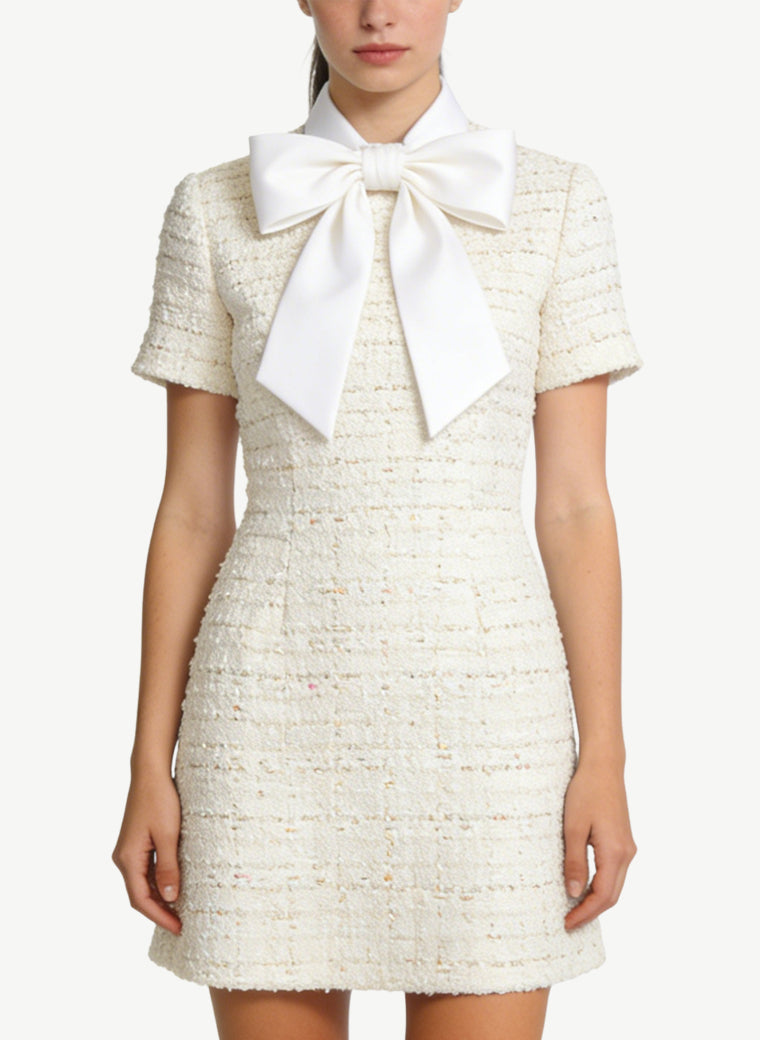 Exquisite Lapel Waist-Cinching Elegant Dress