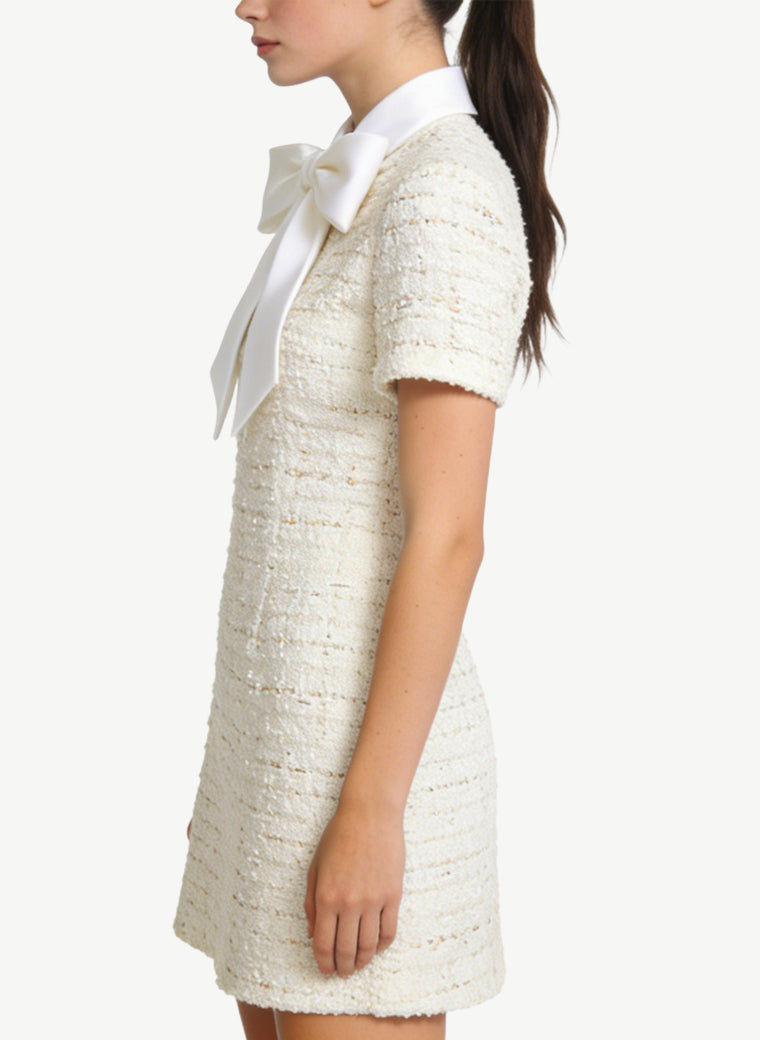 Exquisite Lapel Waist-Cinching Elegant Dress