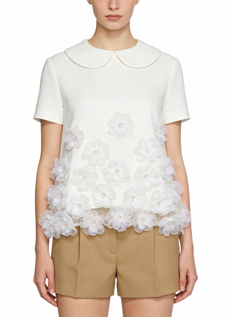 Women's Embroidered Lace-trim Short Sleeve Top