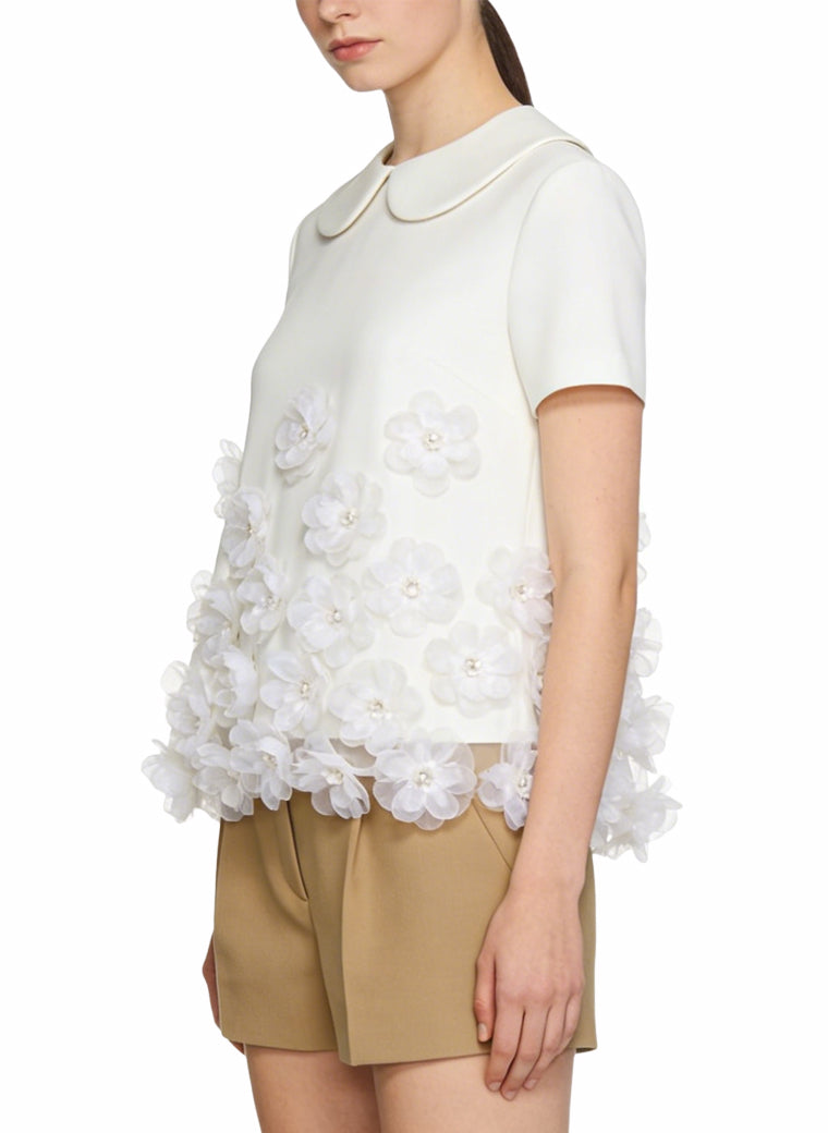 Women's Embroidered Lace-trim Short Sleeve Top